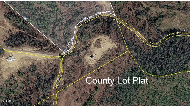 174 Teaberry Road, Roan Mountain, TN 37687