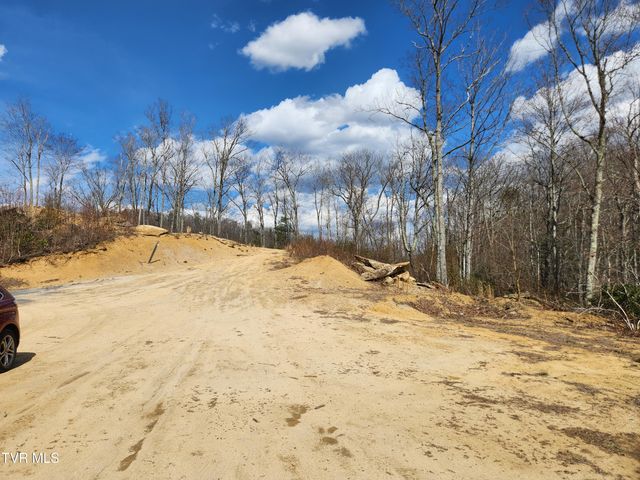 174 Teaberry Road, Roan Mountain, TN 37687