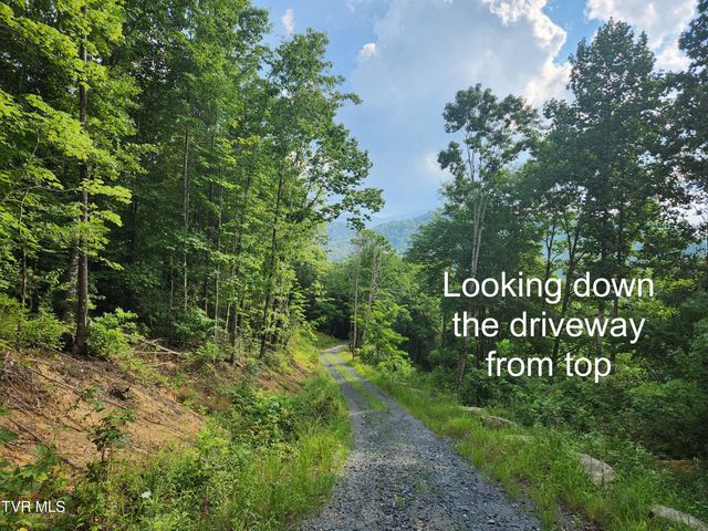 174 Teaberry Road, Roan Mountain, TN 37687
