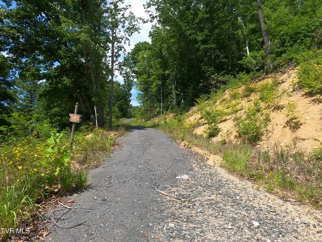 174 Teaberry Road, Roan Mountain, TN 37687