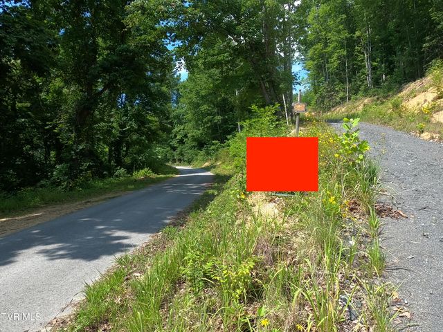 174 Teaberry Road, Roan Mountain, TN 37687