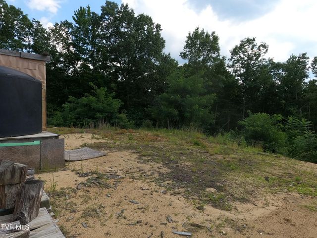 174 Teaberry Road, Roan Mountain, TN 37687