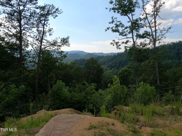 174 Teaberry Road, Roan Mountain, TN 37687