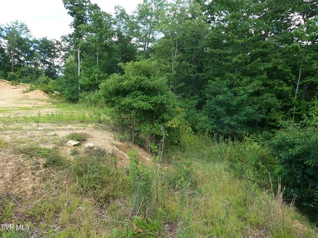 174 Teaberry Road, Roan Mountain, TN 37687