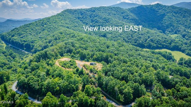 174 Teaberry Road, Roan Mountain, TN 37687
