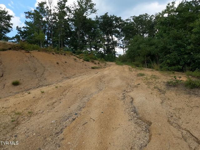 174 Teaberry Road, Roan Mountain, TN 37687