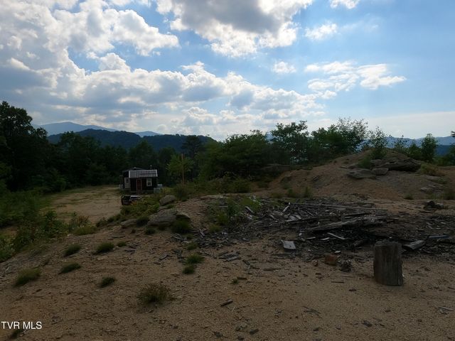 174 Teaberry Road, Roan Mountain, TN 37687