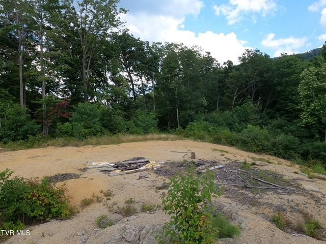 174 Teaberry Road, Roan Mountain, TN 37687