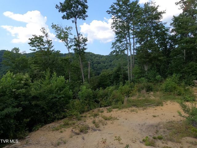 174 Teaberry Road, Roan Mountain, TN 37687