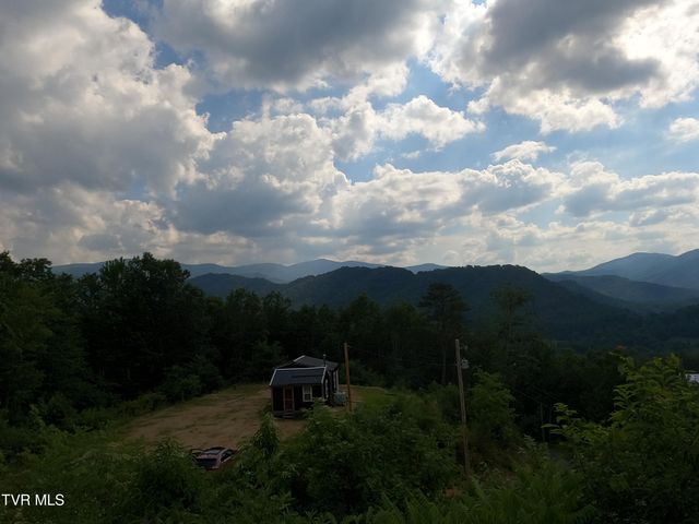 174 Teaberry Road, Roan Mountain, TN 37687