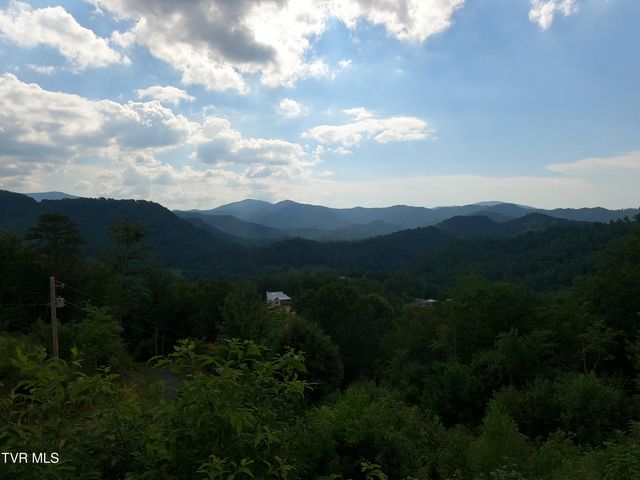 174 Teaberry Road, Roan Mountain, TN 37687