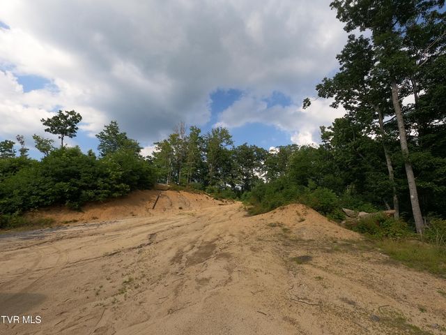 174 Teaberry Road, Roan Mountain, TN 37687