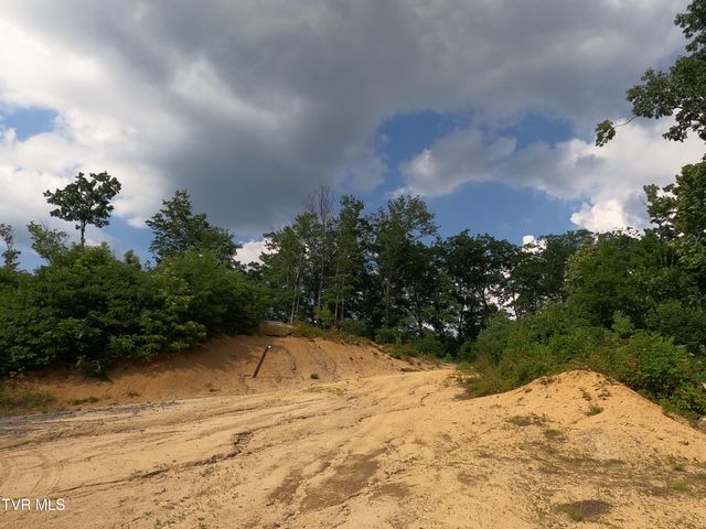 174 Teaberry Road, Roan Mountain, TN 37687