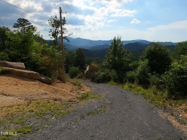 174 Teaberry Road, Roan Mountain, TN 37687