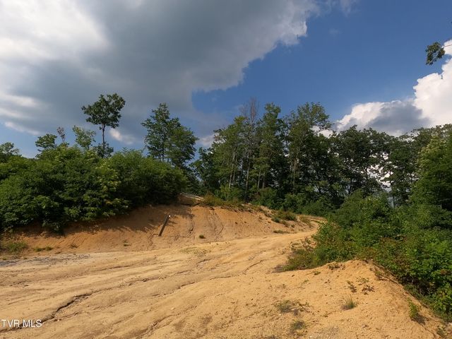 174 Teaberry Road, Roan Mountain, TN 37687