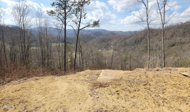 174 Teaberry Road, Roan Mountain, TN 37687