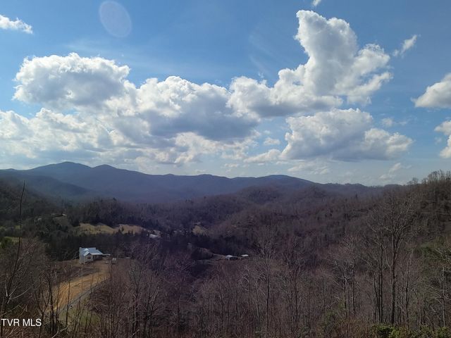 174 Teaberry Road, Roan Mountain, TN 37687