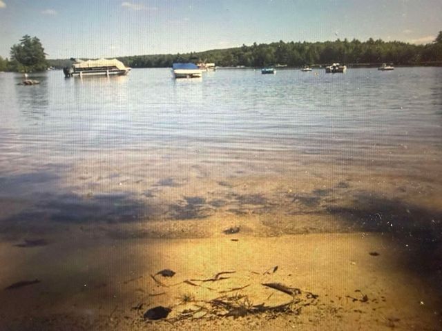 42 Lakeshore Drive, Middleton, NH 03887