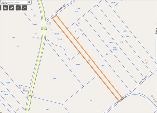 TBD Cr 1655, Grapeland, TX 75844