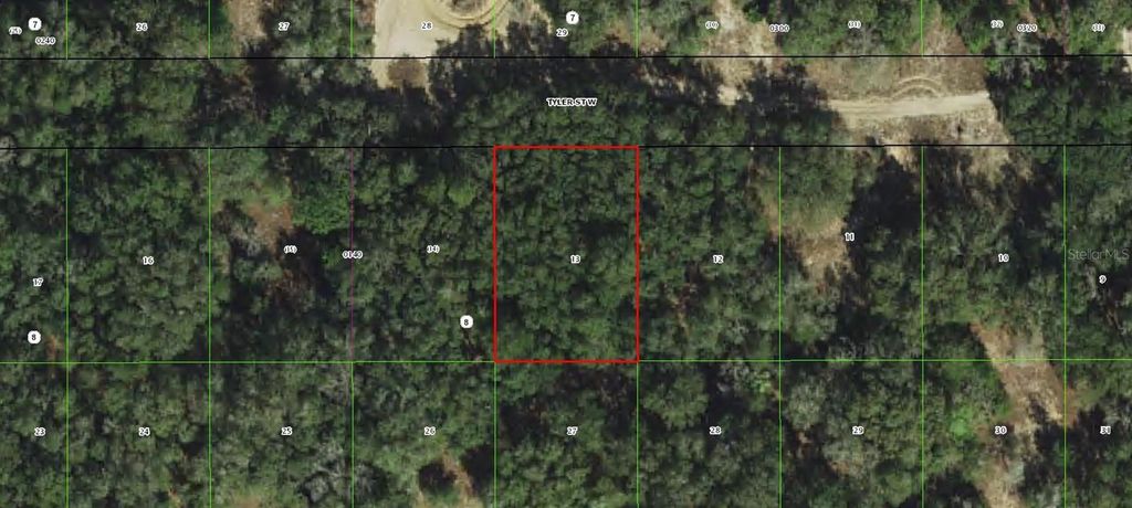 2911 TYLER STREET, Inverness, FL 34453