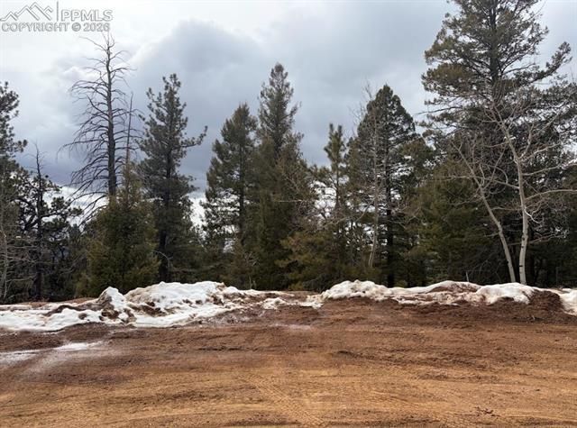 84 Point View Circle, Florissant, CO 80816