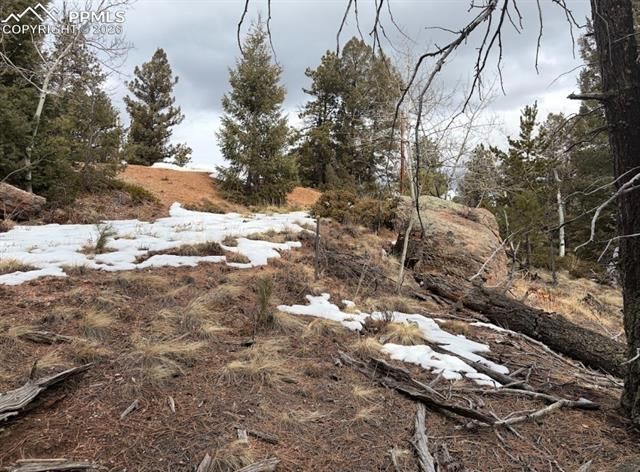 84 Point View Circle, Florissant, CO 80816