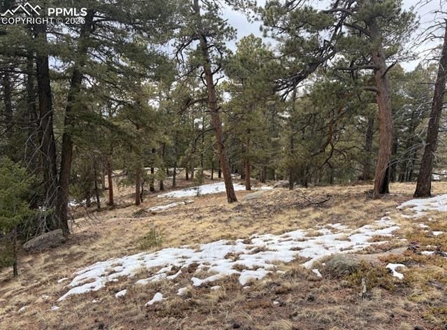 84 Point View Circle, Florissant, CO 80816