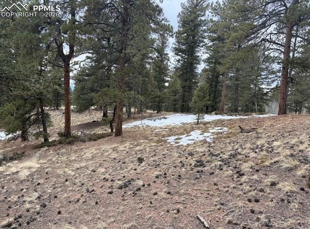84 Point View Circle, Florissant, CO 80816