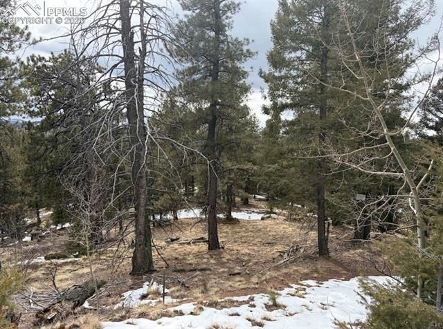 84 Point View Circle, Florissant, CO 80816