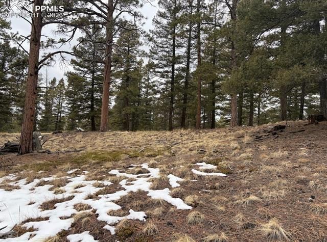 84 Point View Circle, Florissant, CO 80816