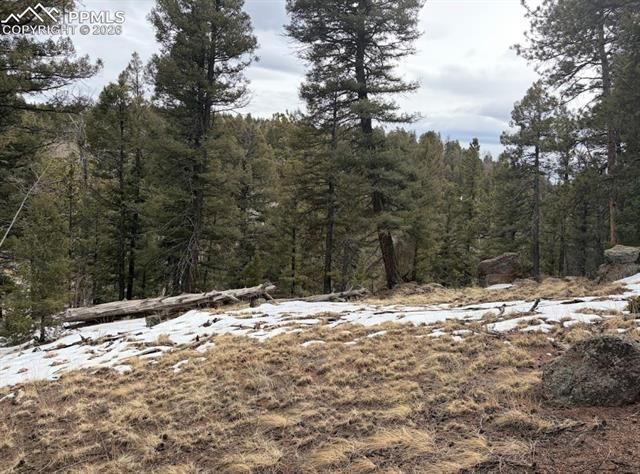 84 Point View Circle, Florissant, CO 80816