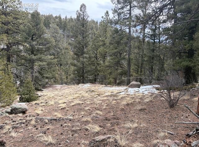 84 Point View Circle, Florissant, CO 80816
