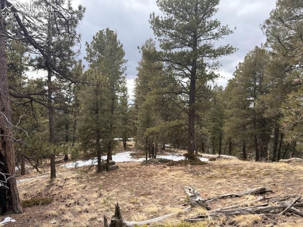 84 Point View Circle, Florissant, CO 80816