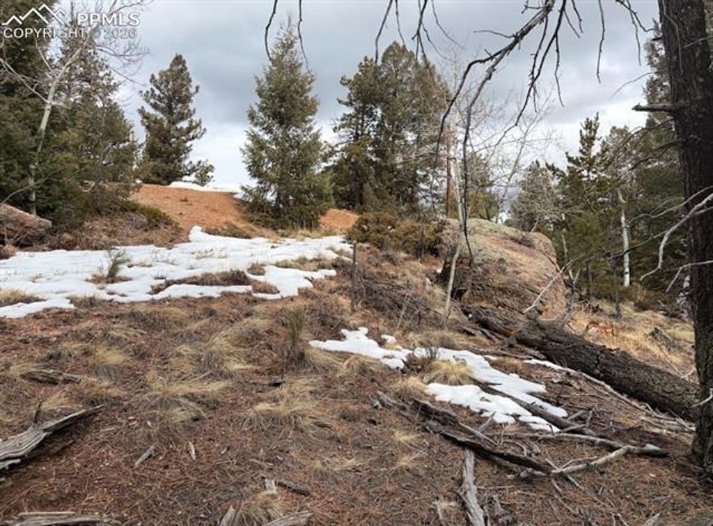 84 Point View Circle, Florissant, CO 80816 — photo 3