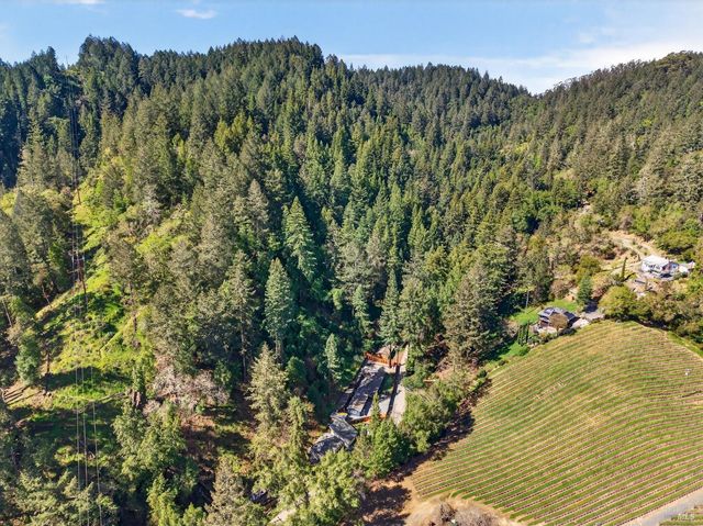 11207 Vellutini Rd, Forestville, CA 95436