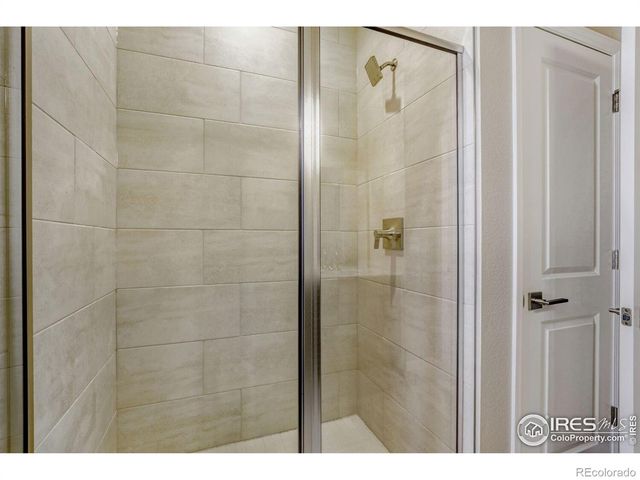 656 Noola Street, Windsor, CO 80550