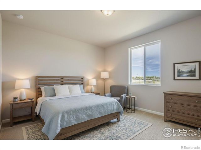 656 Noola Street, Windsor, CO 80550