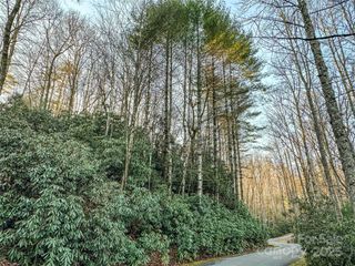 D17 Caroline Lane, Pisgah Forest, NC 28768