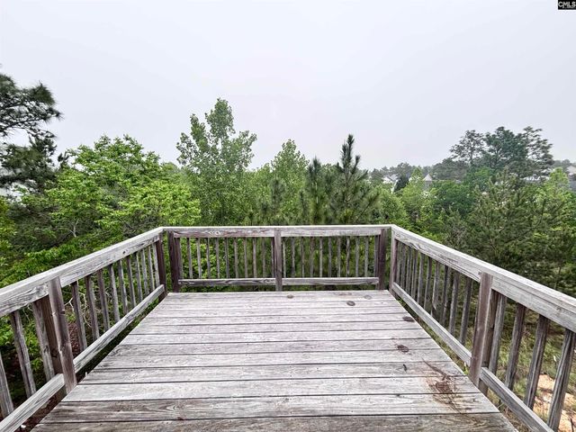 27 Twinspur Court, Columbia, SC 29229