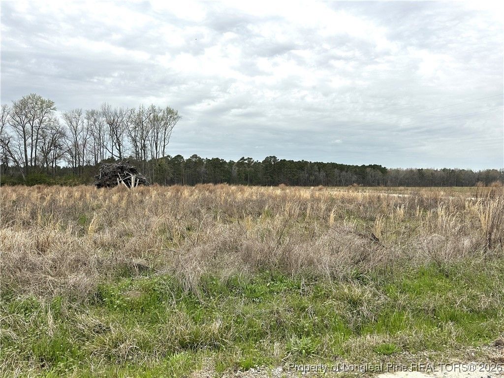 Costner Road, Lumber Bridge, NC 28357 — exterior