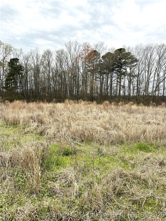 Costner Road, Lumber Bridge, NC 28357 — photo 2