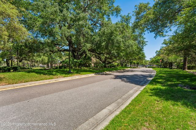 5455 Championship Cup Lane, Spring Hill, FL 34609