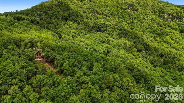 153 Chetan Way, Lake Lure, NC 28746