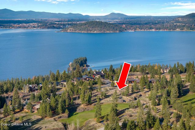 48 Jackleg Trail, Harrison, ID 83833