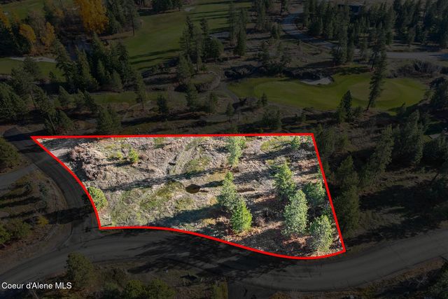 48 Jackleg Trail, Harrison, ID 83833