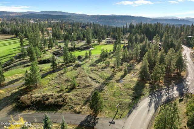 48 Jackleg Trail, Harrison, ID 83833