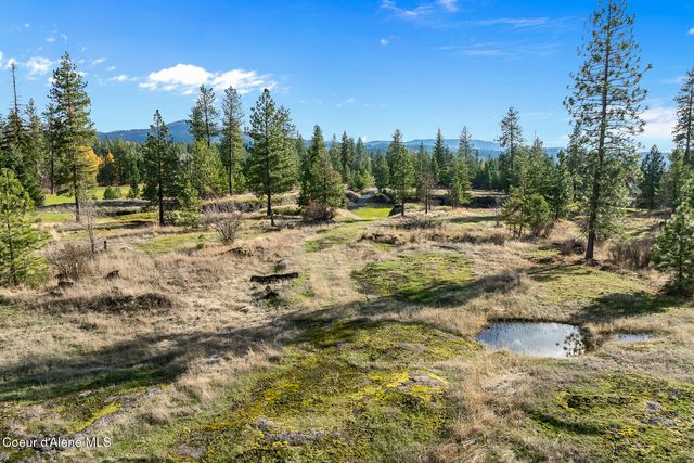 48 Jackleg Trail, Harrison, ID 83833