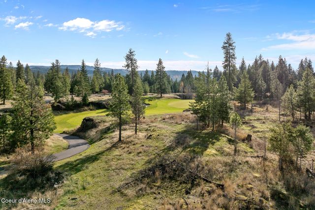 48 Jackleg Trail, Harrison, ID 83833