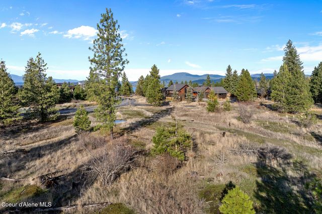 48 Jackleg Trail, Harrison, ID 83833