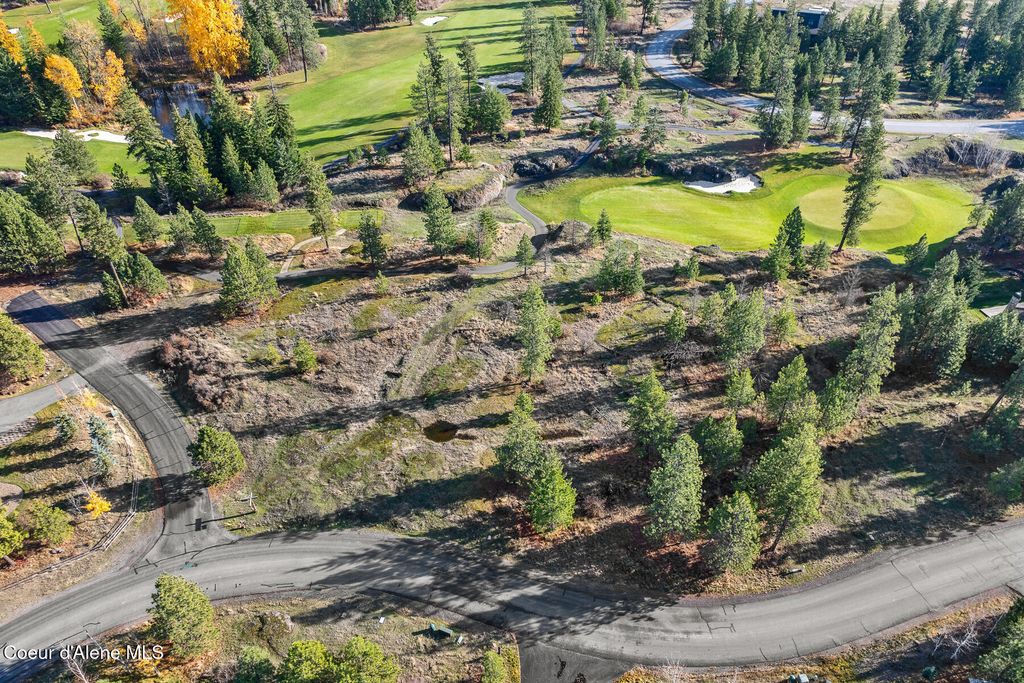 48 Jackleg Trail, Harrison, ID 83833